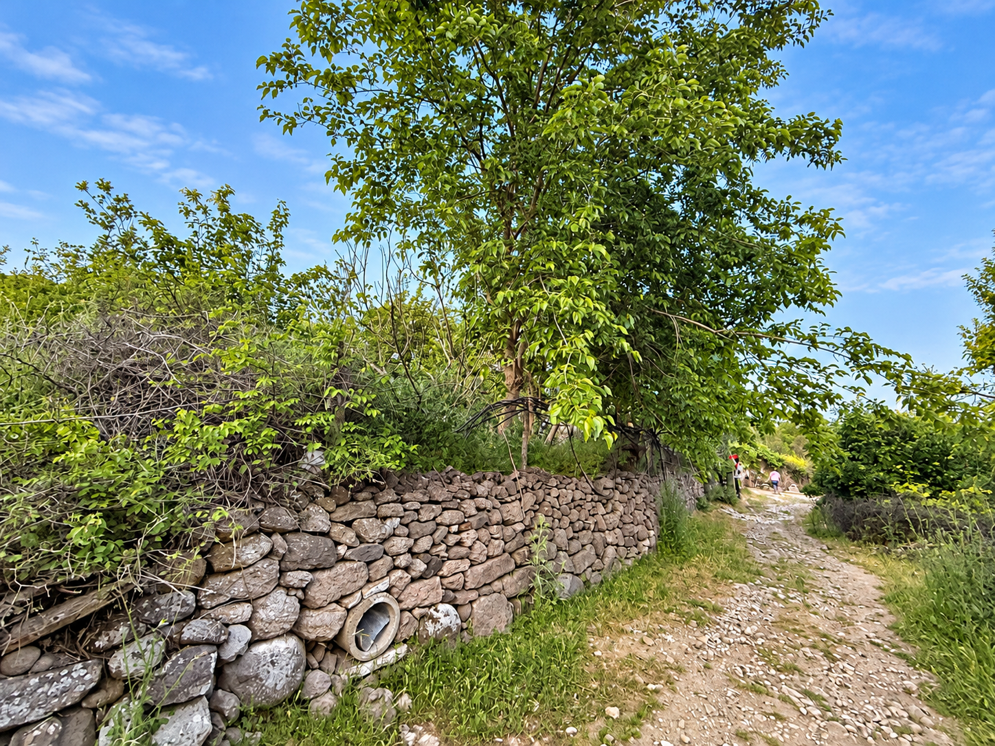 Kadastro yolu ve çevresi